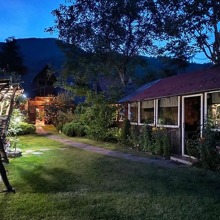 Casa De Vacanta Vidrighin Rau Sadului Luaran gambar