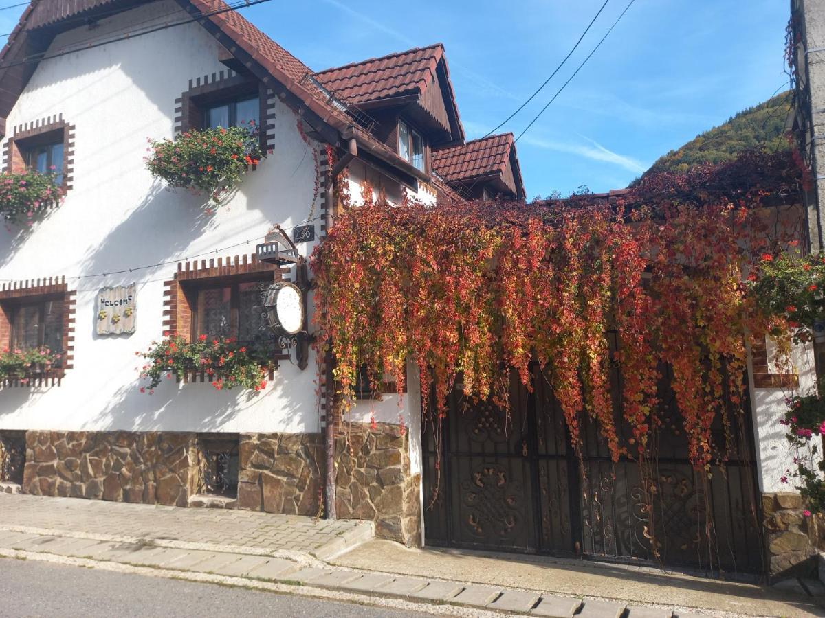 Casa De Vacanta Vidrighin Rau Sadului Luaran gambar