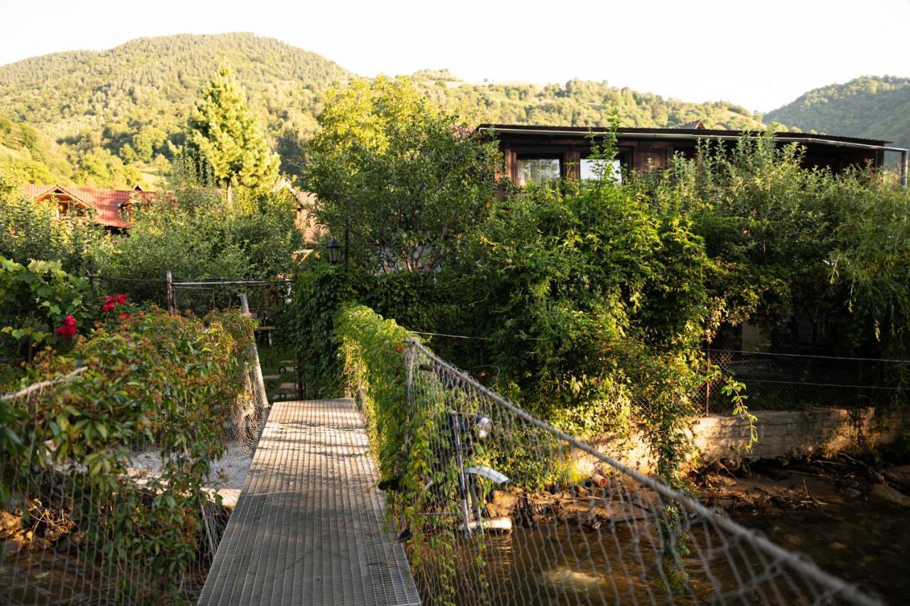 Casa De Vacanta Vidrighin Rau Sadului Luaran gambar