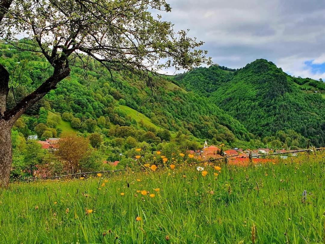 Casa De Vacanta Vidrighin Rau Sadului Luaran gambar