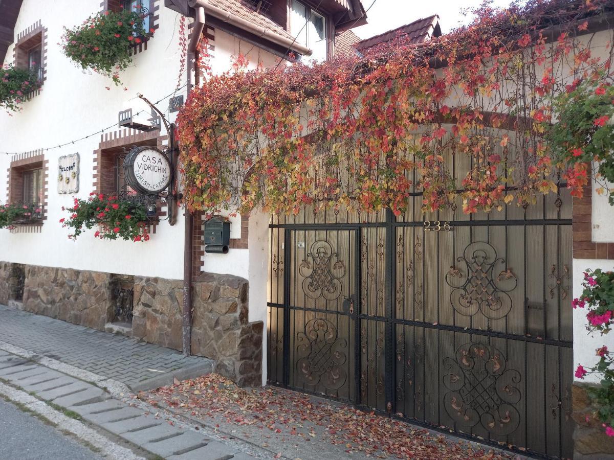 Casa De Vacanta Vidrighin Rau Sadului Luaran gambar