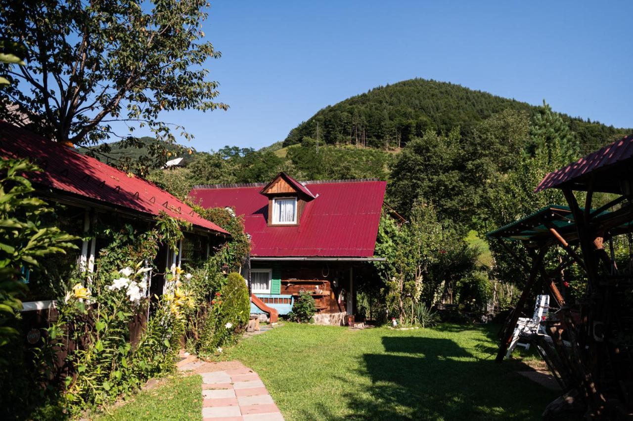 Casa De Vacanta Vidrighin Rau Sadului Luaran gambar