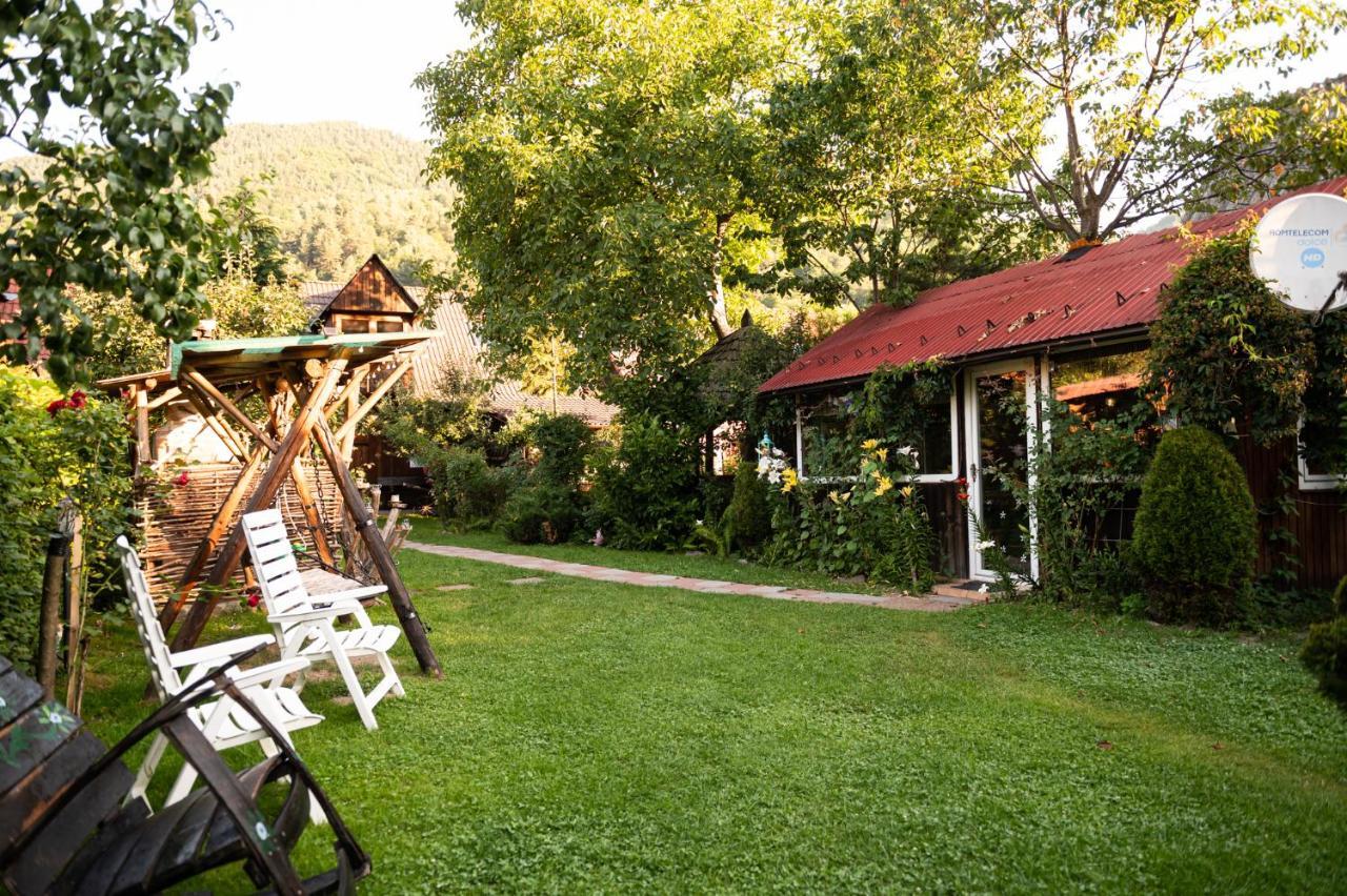 Casa De Vacanta Vidrighin Rau Sadului Luaran gambar