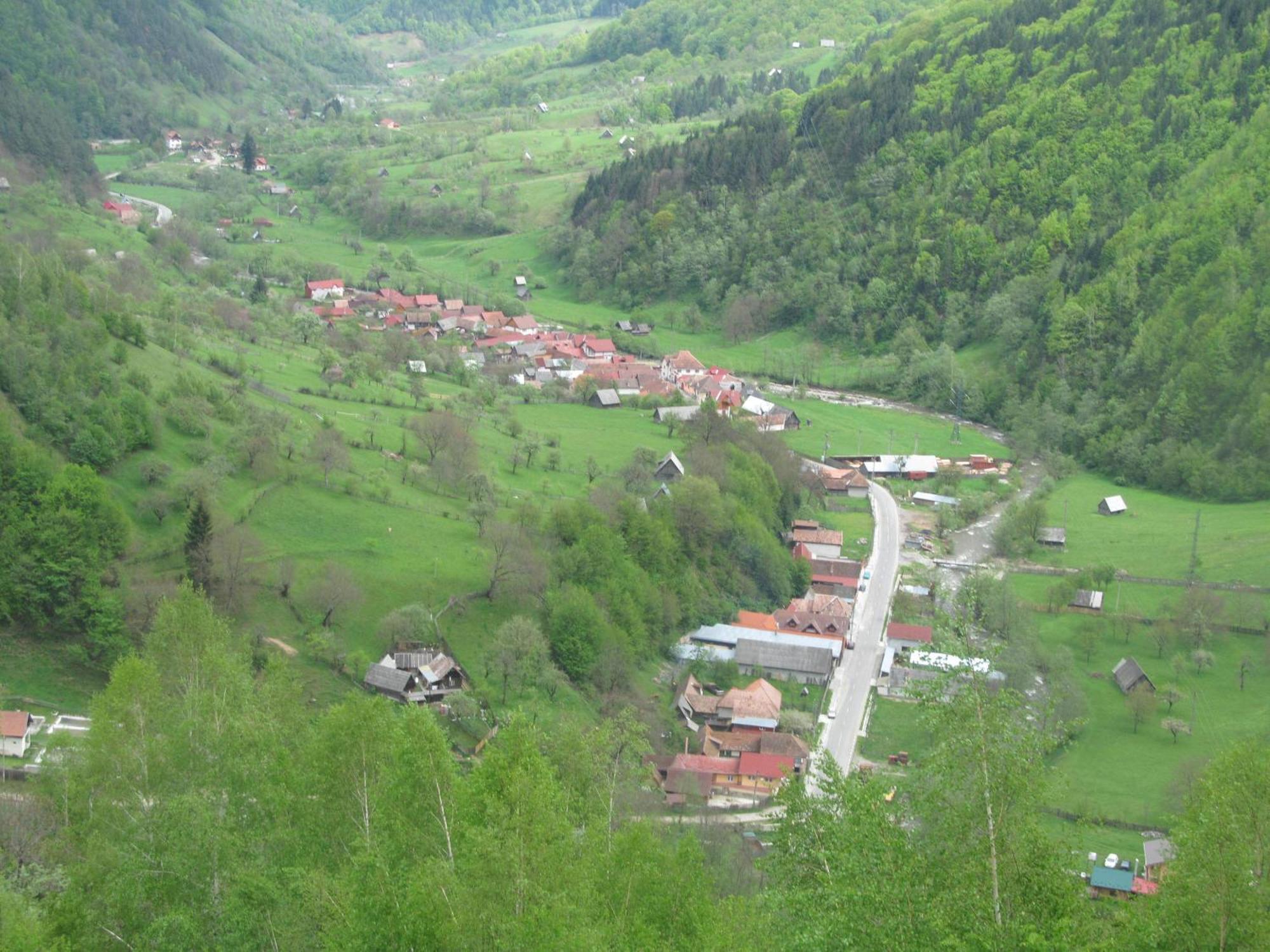 Casa De Vacanta Vidrighin Rau Sadului Luaran gambar