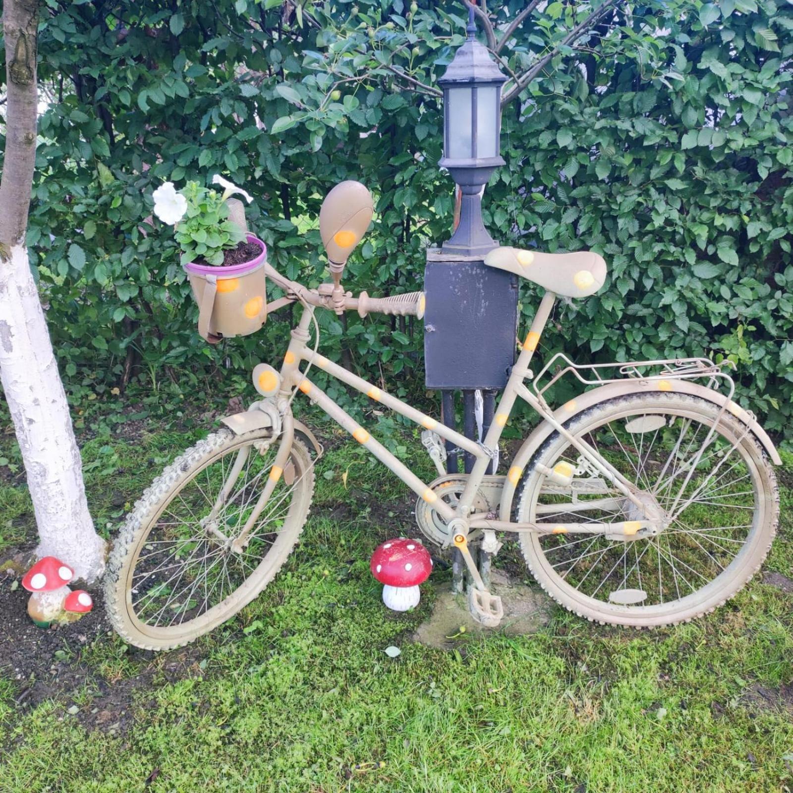Casa De Vacanta Vidrighin Rau Sadului Bilik gambar