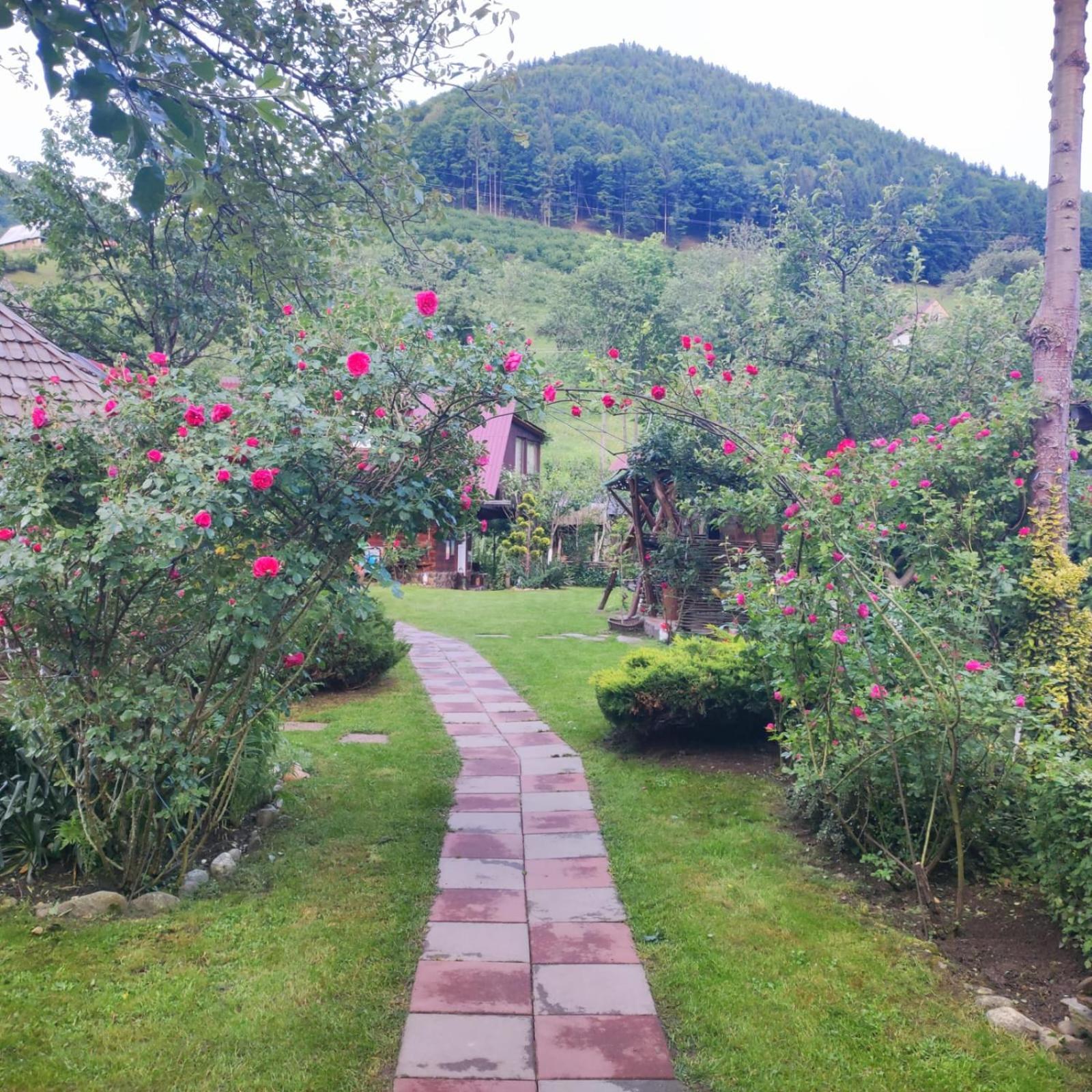 Casa De Vacanta Vidrighin Rau Sadului Bilik gambar