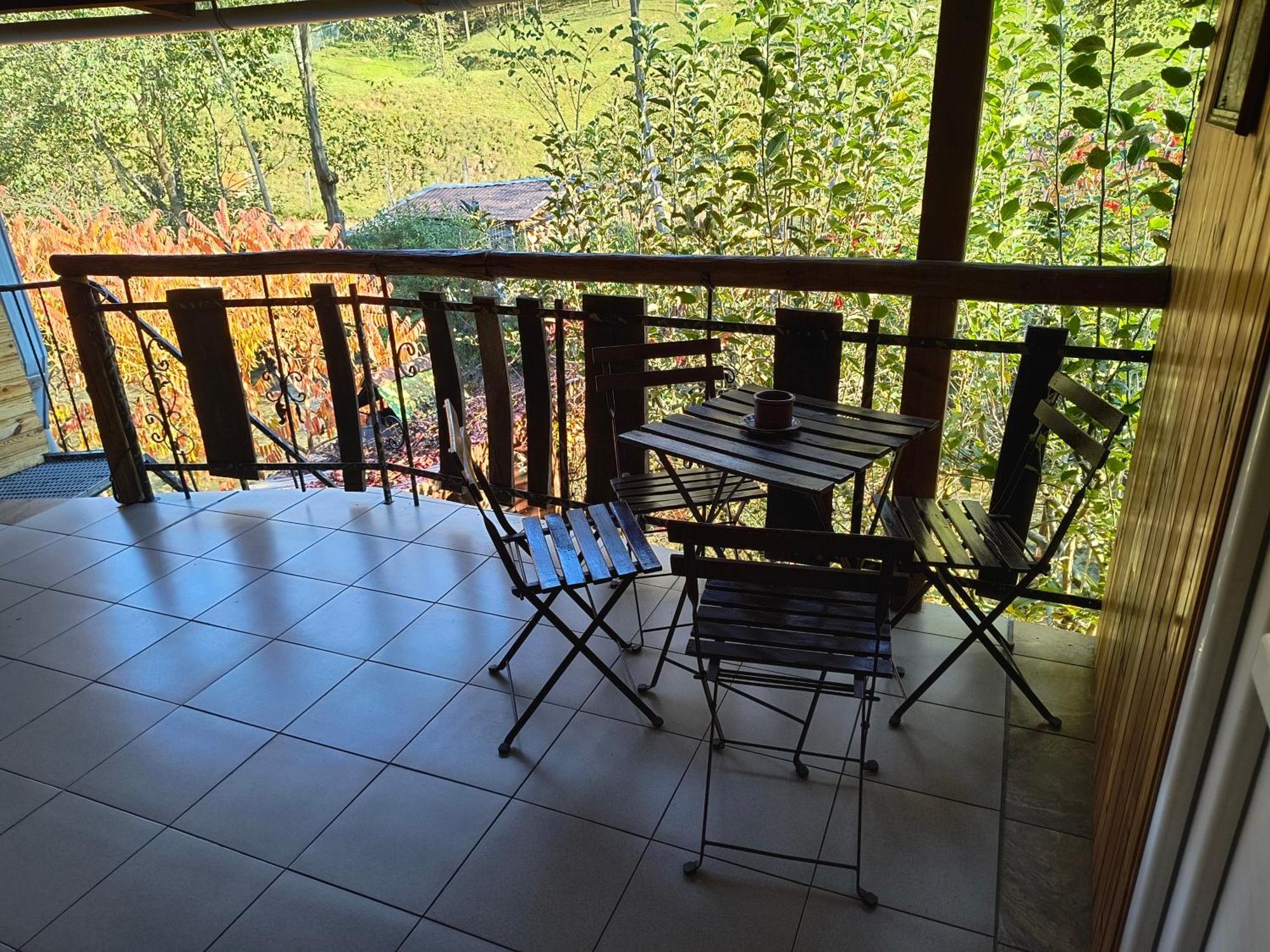 Casa De Vacanta Vidrighin Rau Sadului Bilik gambar