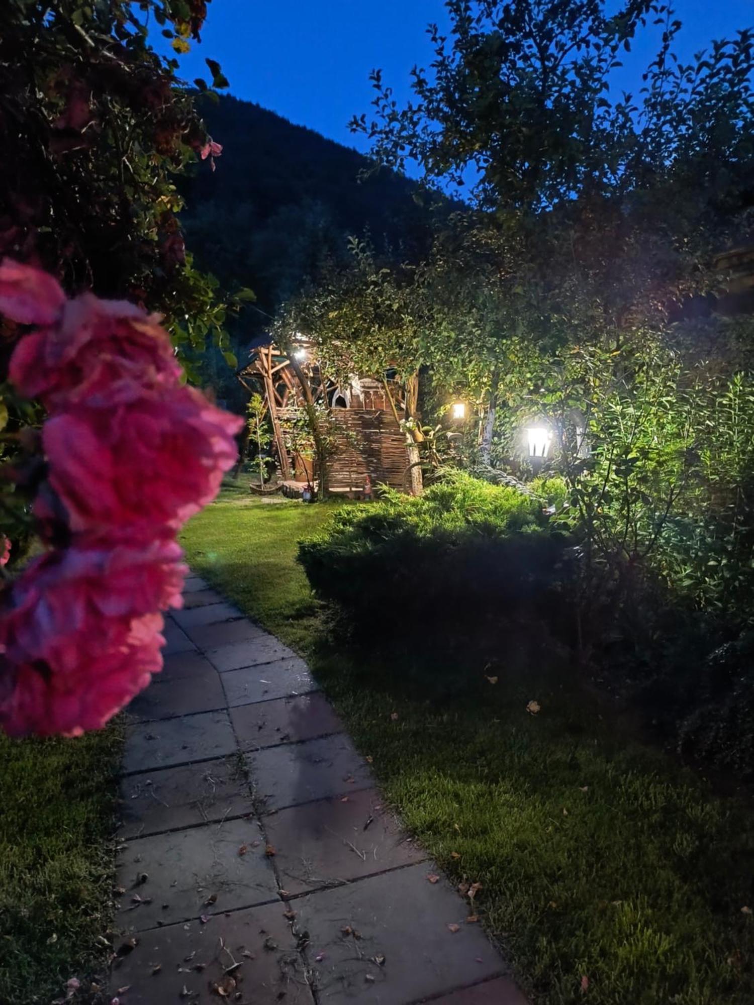 Casa De Vacanta Vidrighin Rau Sadului Bilik gambar