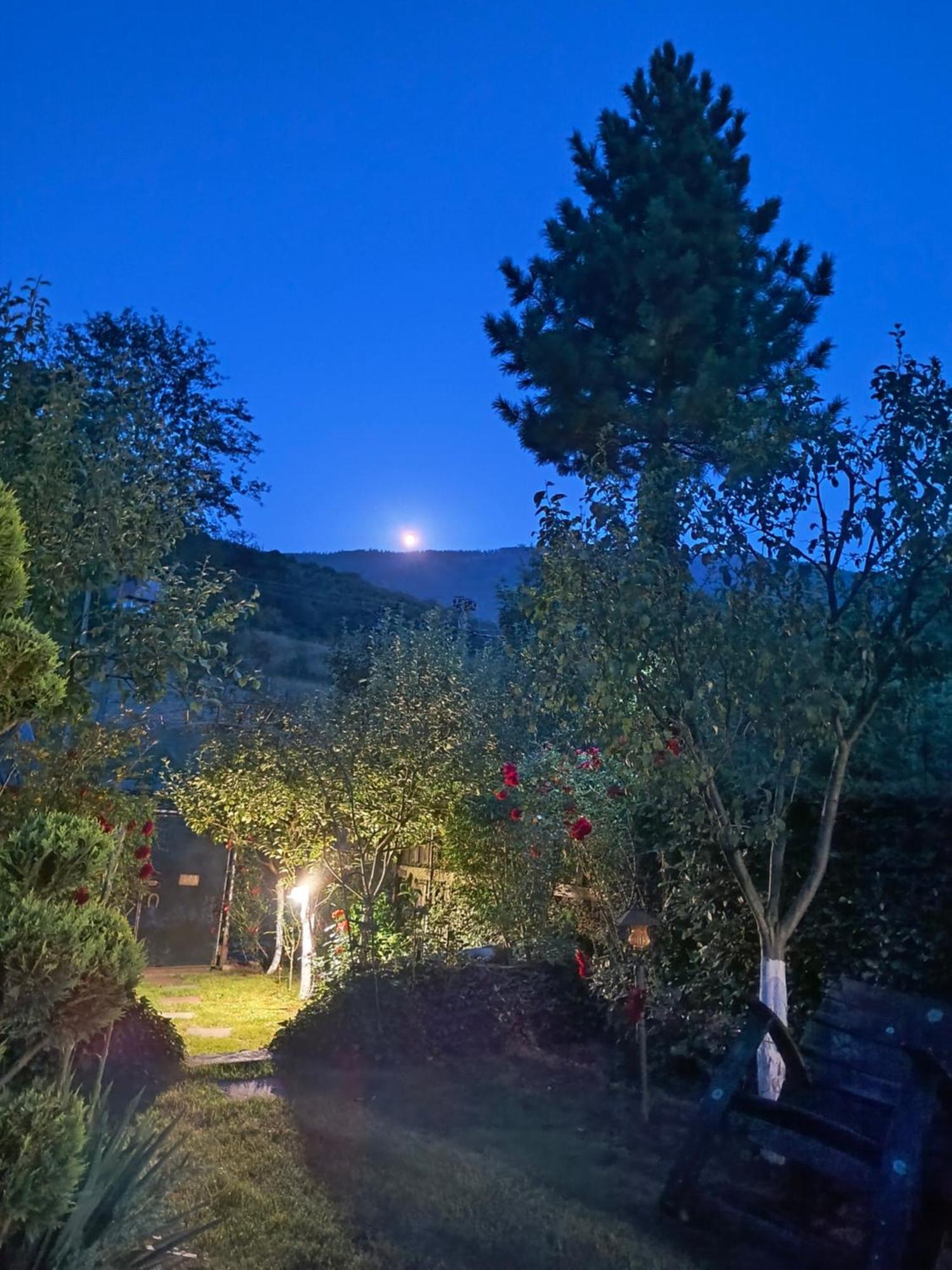 Casa De Vacanta Vidrighin Rau Sadului Luaran gambar