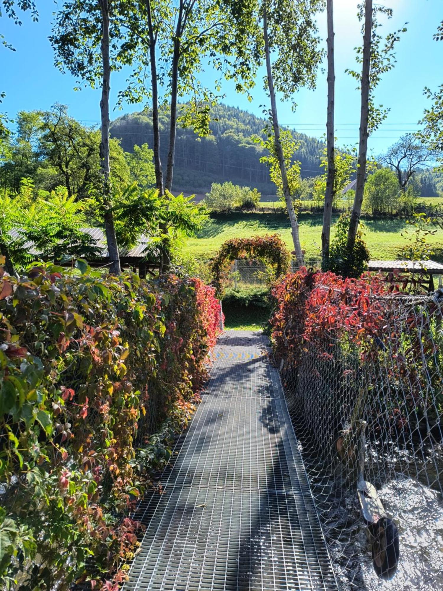 Casa De Vacanta Vidrighin Rau Sadului Luaran gambar