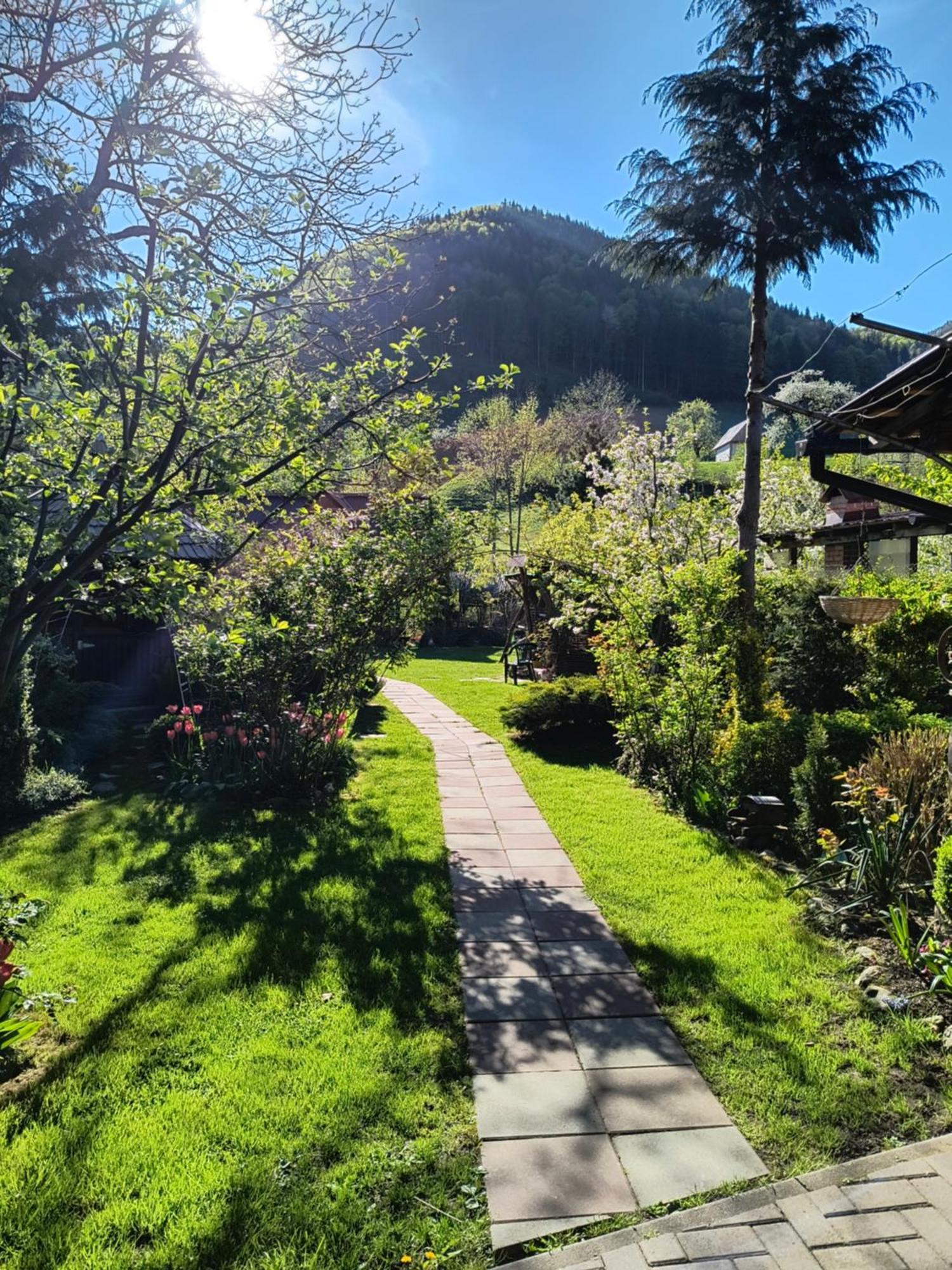 Casa De Vacanta Vidrighin Rau Sadului Luaran gambar