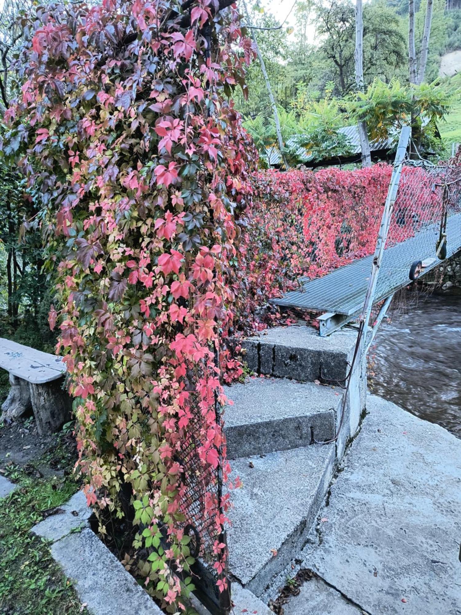 Casa De Vacanta Vidrighin Rau Sadului Luaran gambar